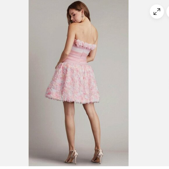 TADASHI SHOJI Pale Pink Akina Strapless Rosette Applique Mini Dress - Picture 2 of 2